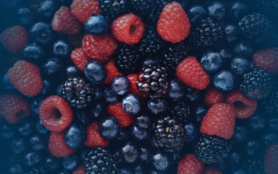 From Strawberries to Summer Berries: The Sweet Transition at Patterson Farm