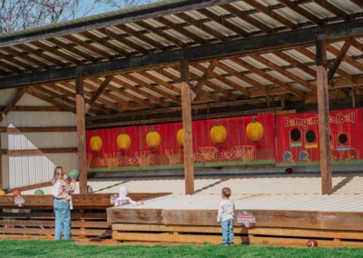 Barnyard Ball Zone