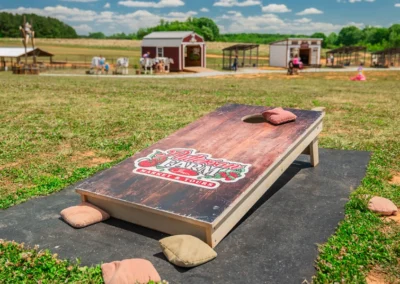 Corn Hole