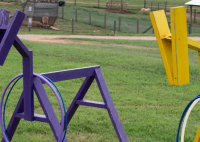 Hula Hoop Horses