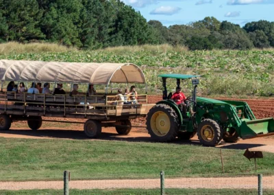 Wagon Ride