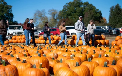 Your Patterson Farm Fall Bucket List: 10 Things to Do Before the Season Ends